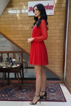 Red Embroidered V-Neck Flowy Dress