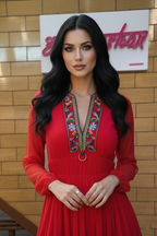 Red Embroidered V-Neck Flowy Dress