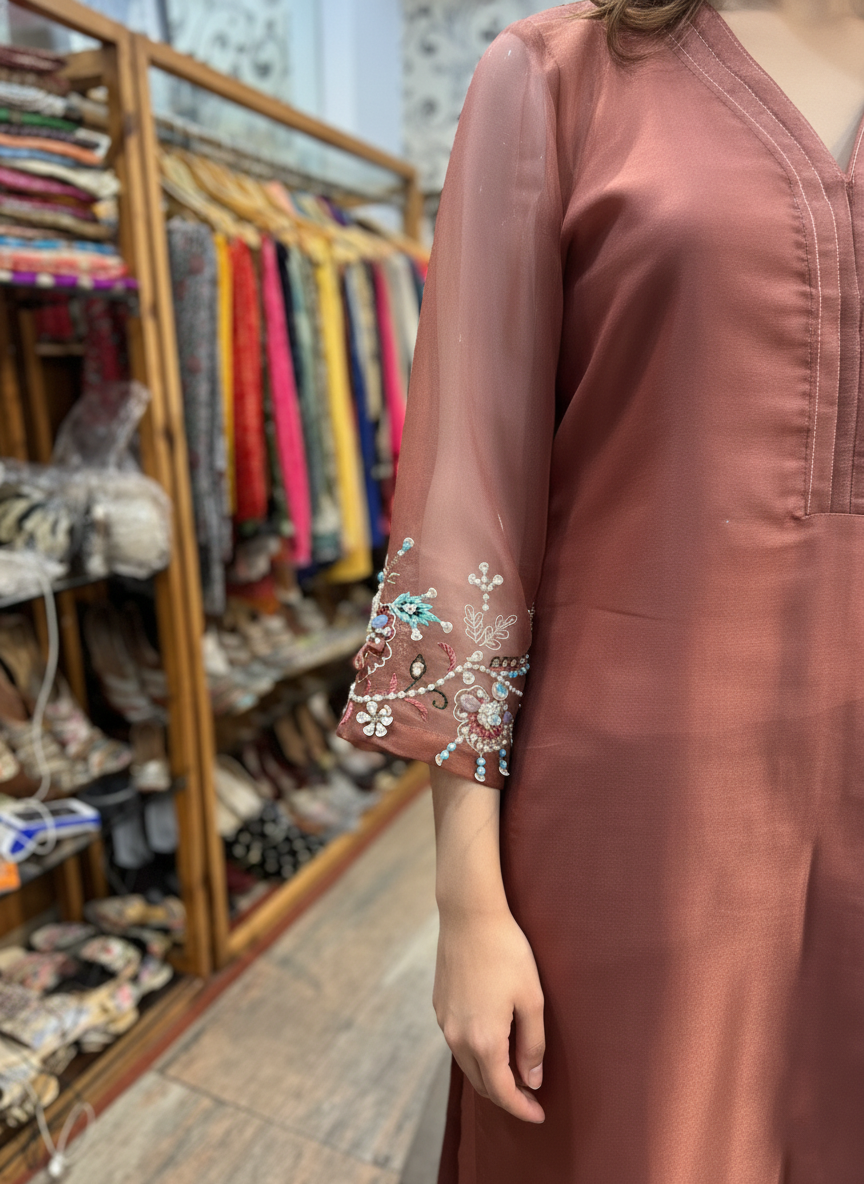 Elegant Organza Embellished Suit with Beads and Resham Detailing