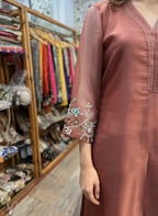 Elegant Organza Embellished Suit with Beads and Resham Detailing